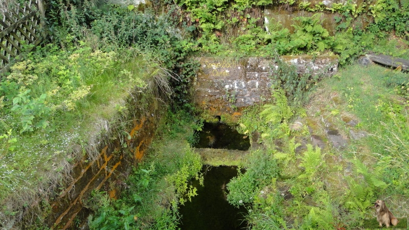 Ritterstein Nr. 254-6b Speyerbach-Ursprung - Flosswoog mit Schleuse.JPG - Ritterstein Nr.254 Speyerbach-Ursprung - Flosswoog mit Schleuse